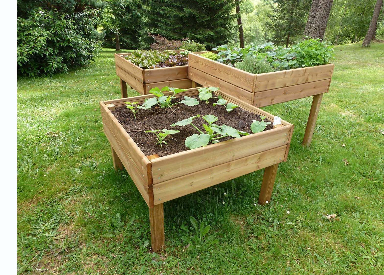 Préparer son potager comment et à quelle période Jardindeco